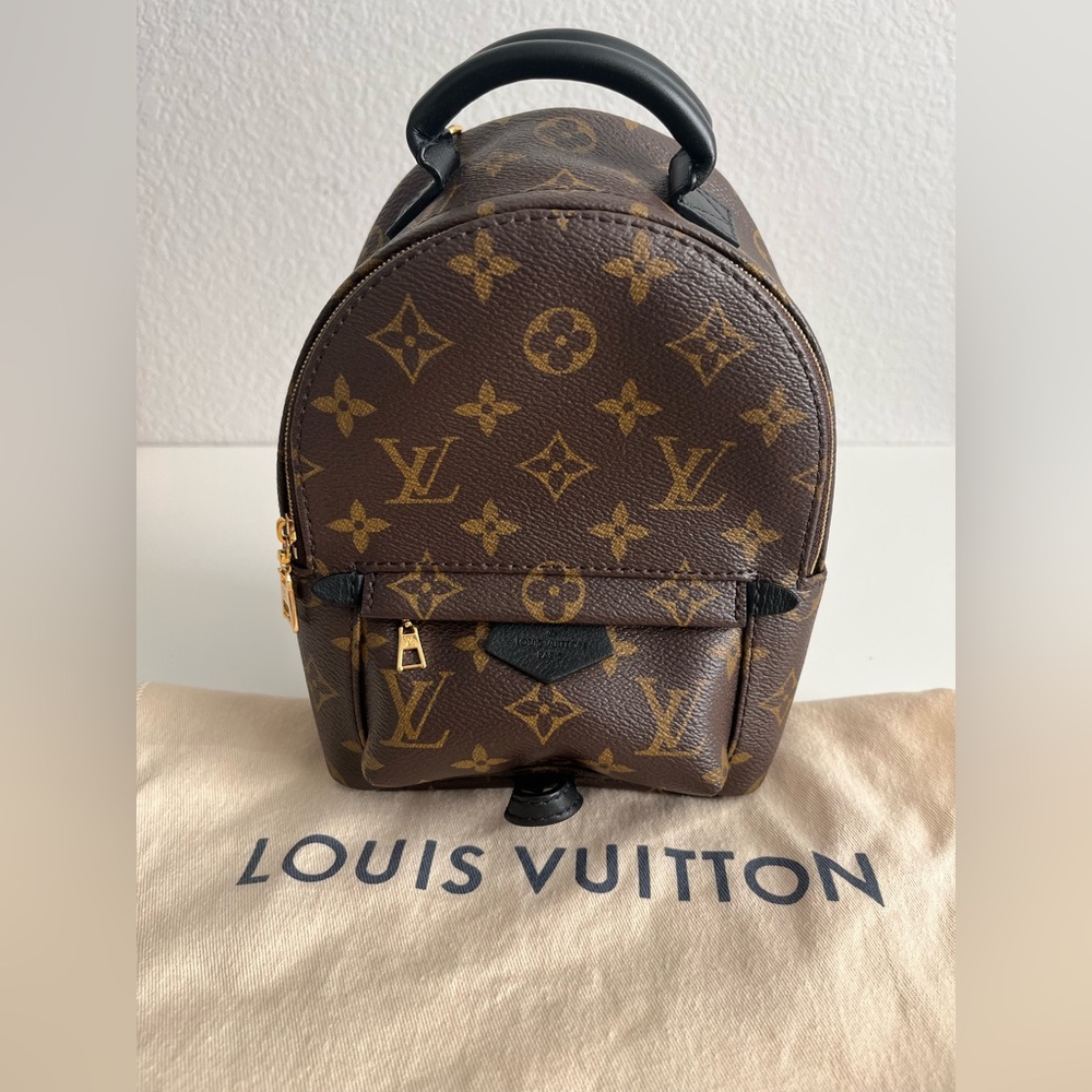 Louis Vuitton Palm Springs Mini